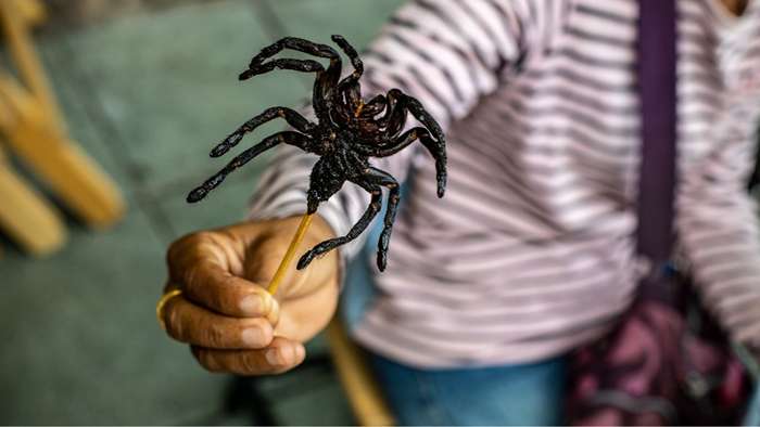 Bizarre ou délicieux? 15 bugs d'autres cultures pensent être délicieuses